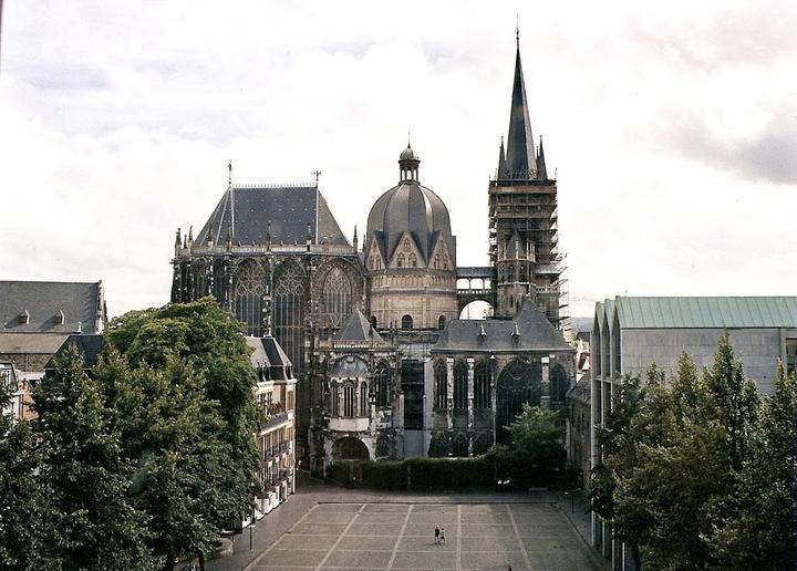 Rose am Dom